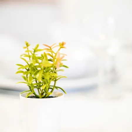 Apartment Studio - Centre Historique