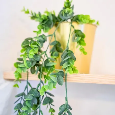 Studio - Centre Historique Apartment Agde